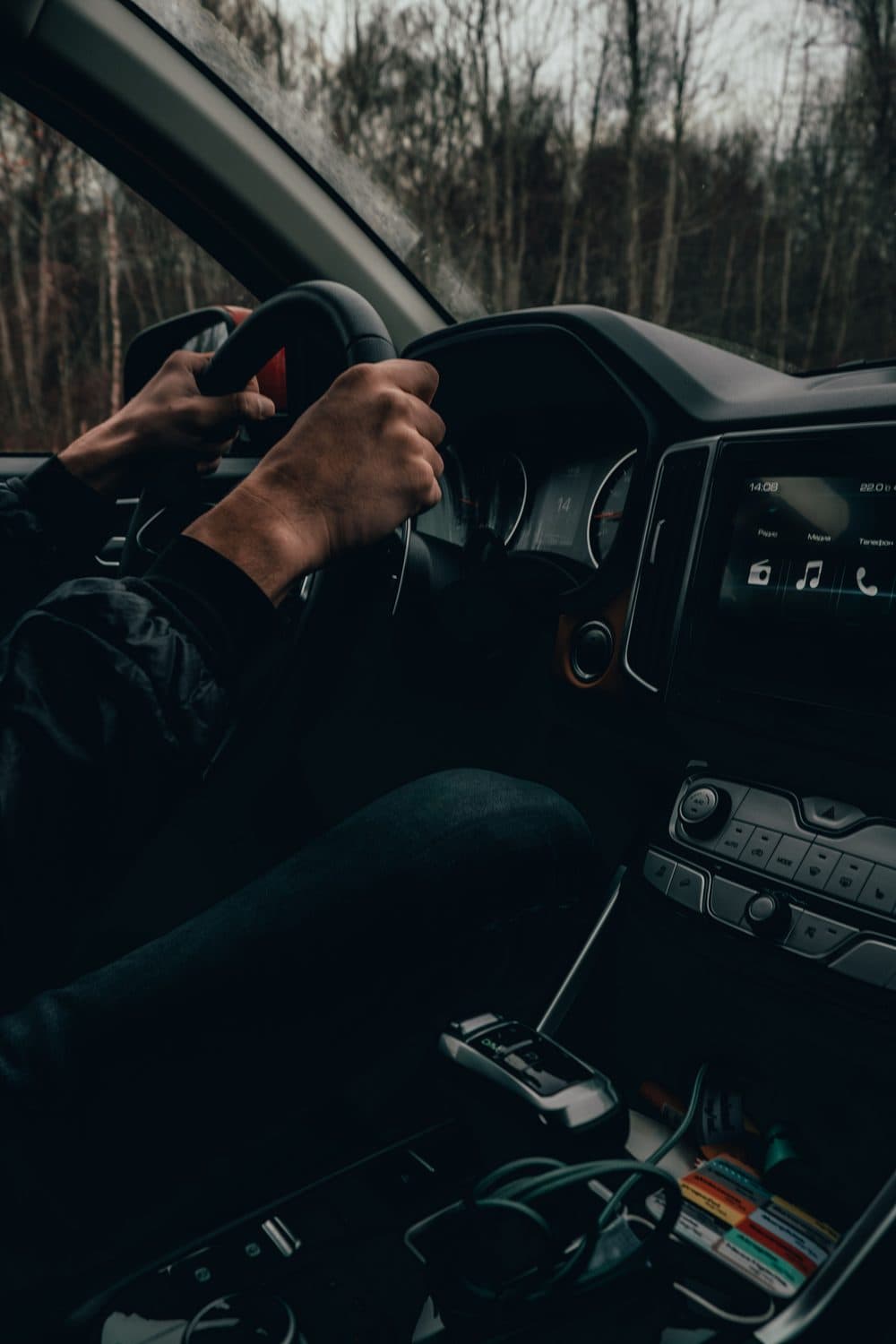 A driver's hands on the steering wheel, seen from the passenger seat, with winter woodland through the windows